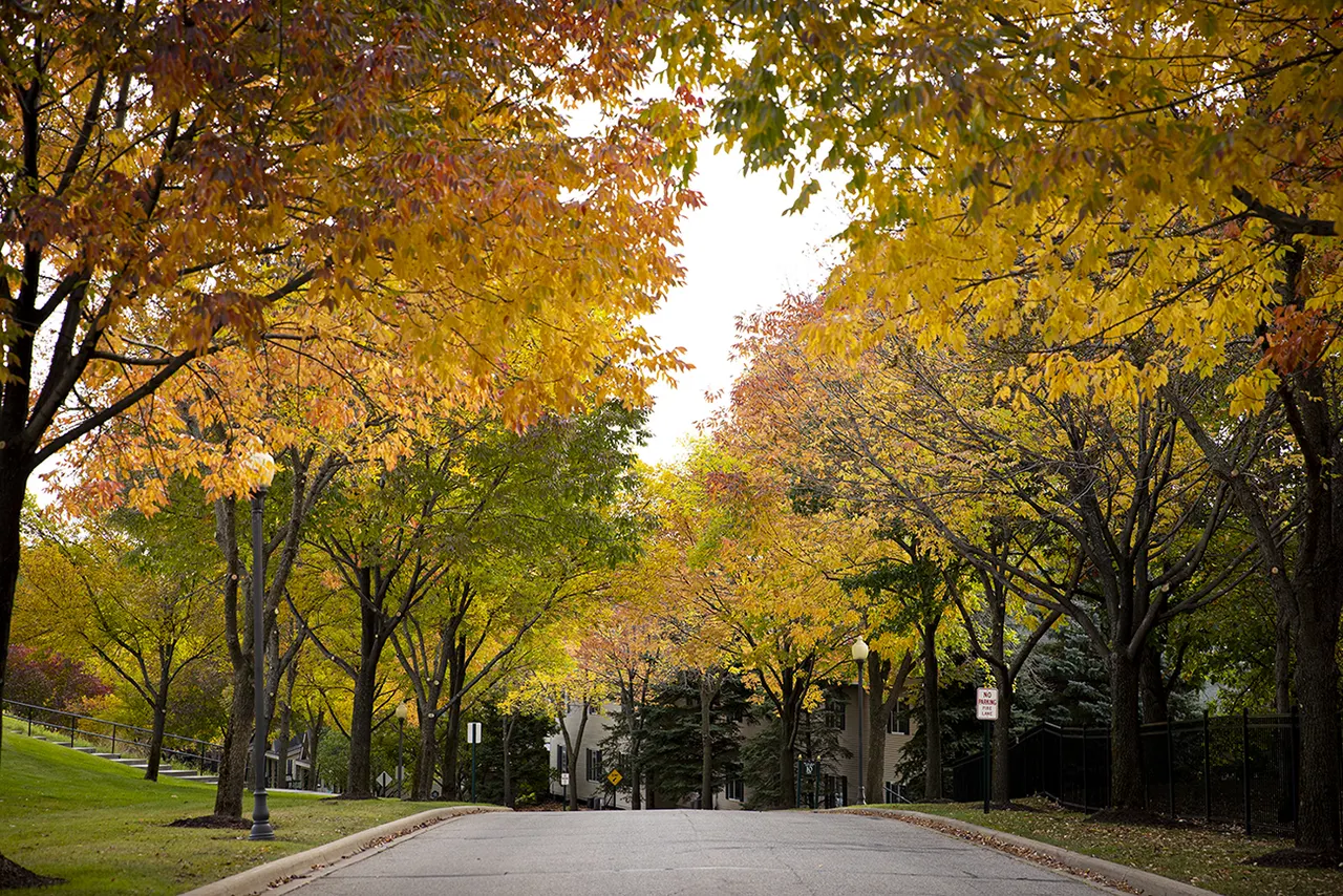 Promenade Oaks Townhomes