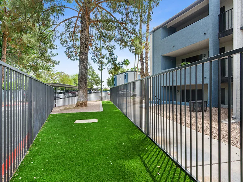 Portola East Mesa