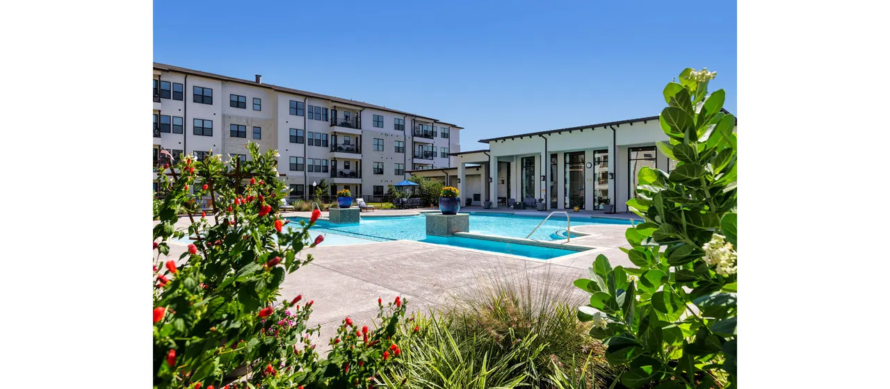 Ivy Point Cypress