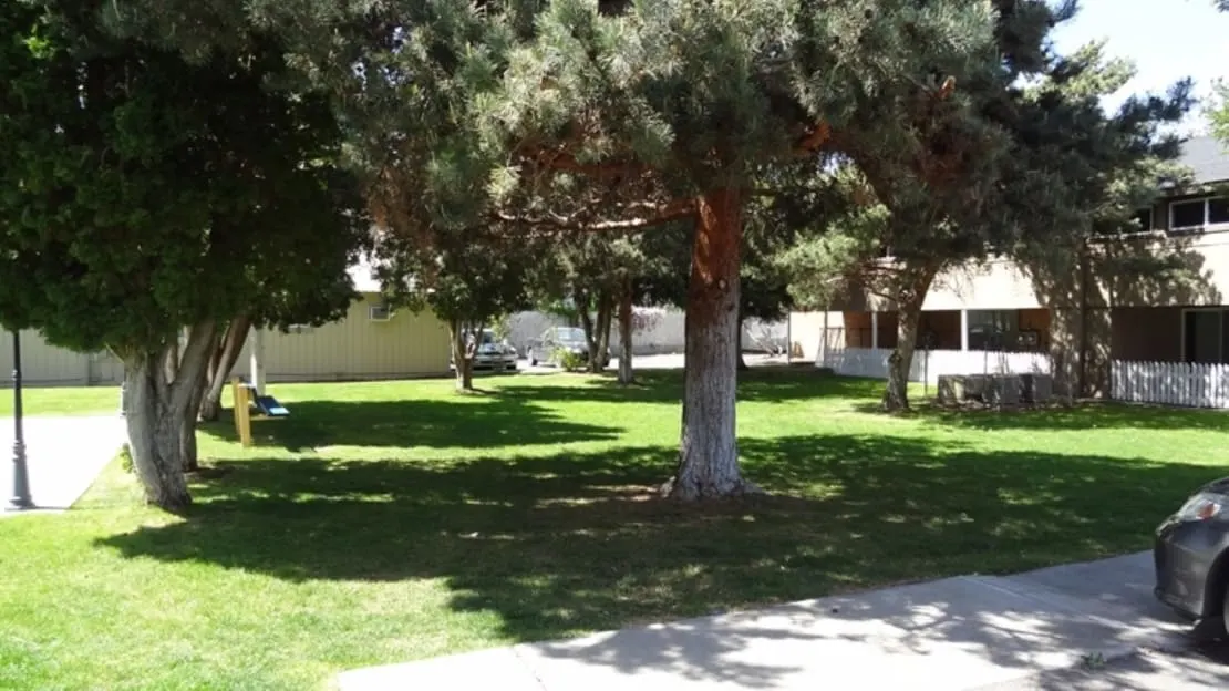 Morain Estates