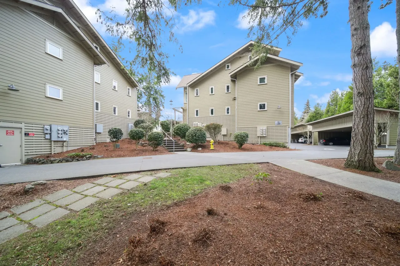 Camelia Apartments