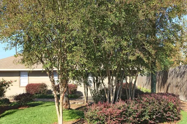 Southlawn Palms Apartments