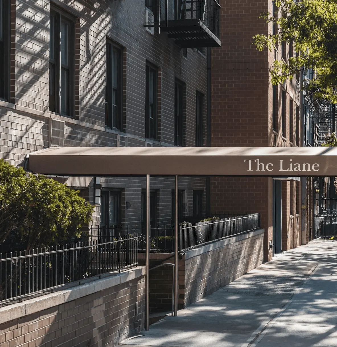 The Liane