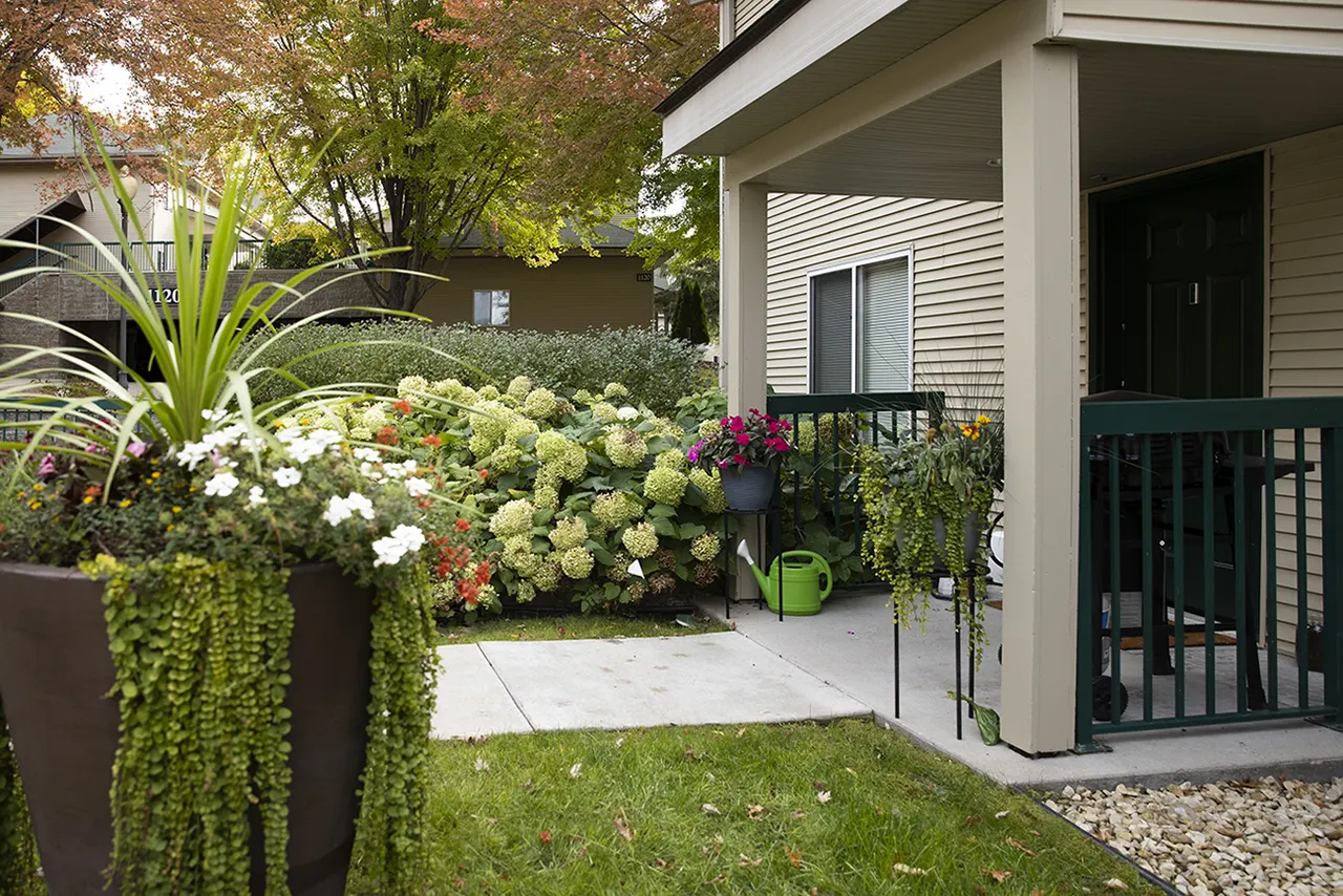 Promenade Oaks Townhomes