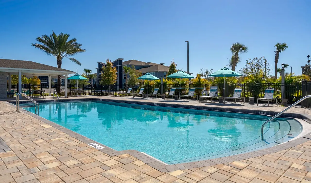 Dream Winter Haven