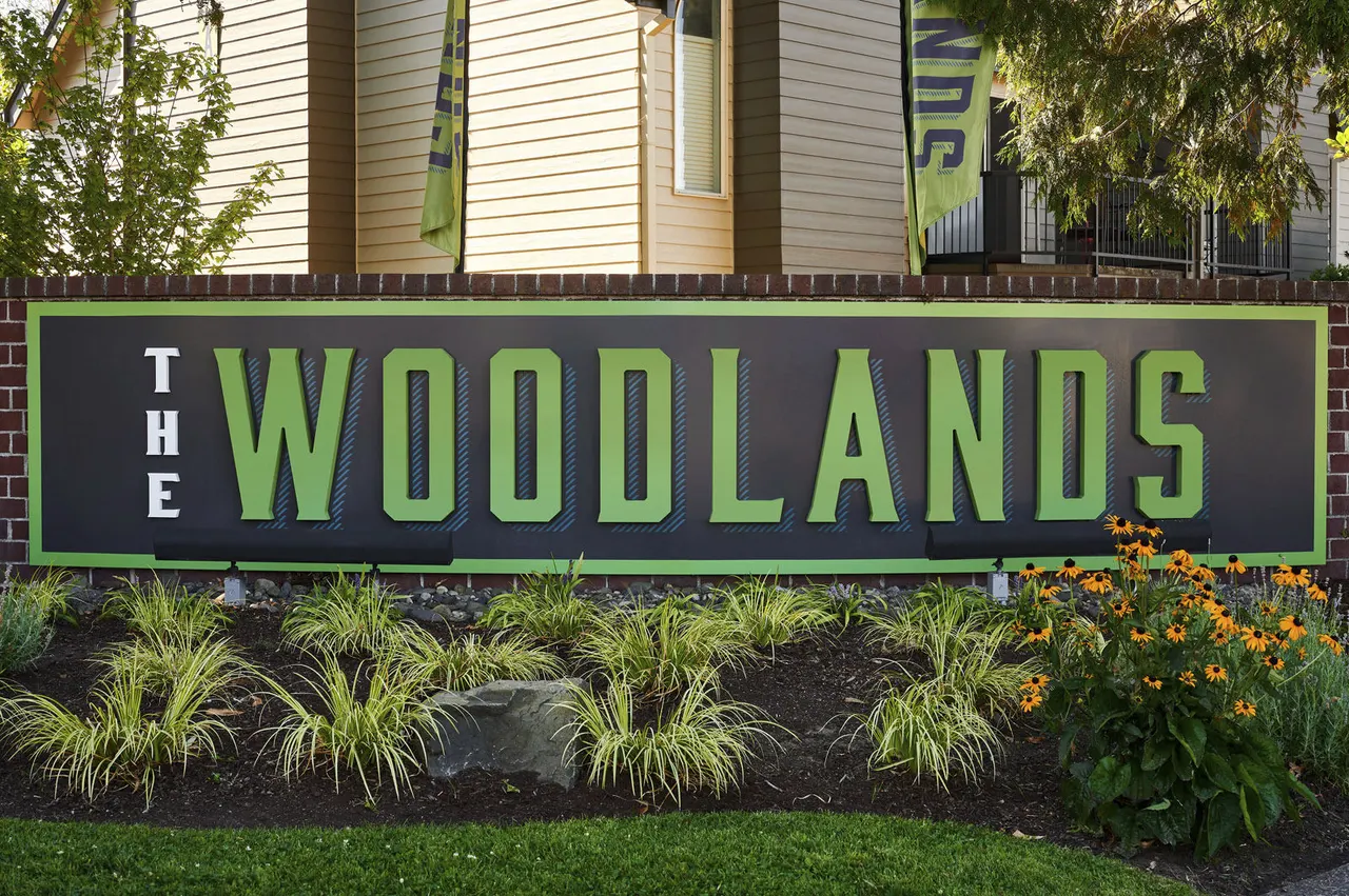 The Woodlands