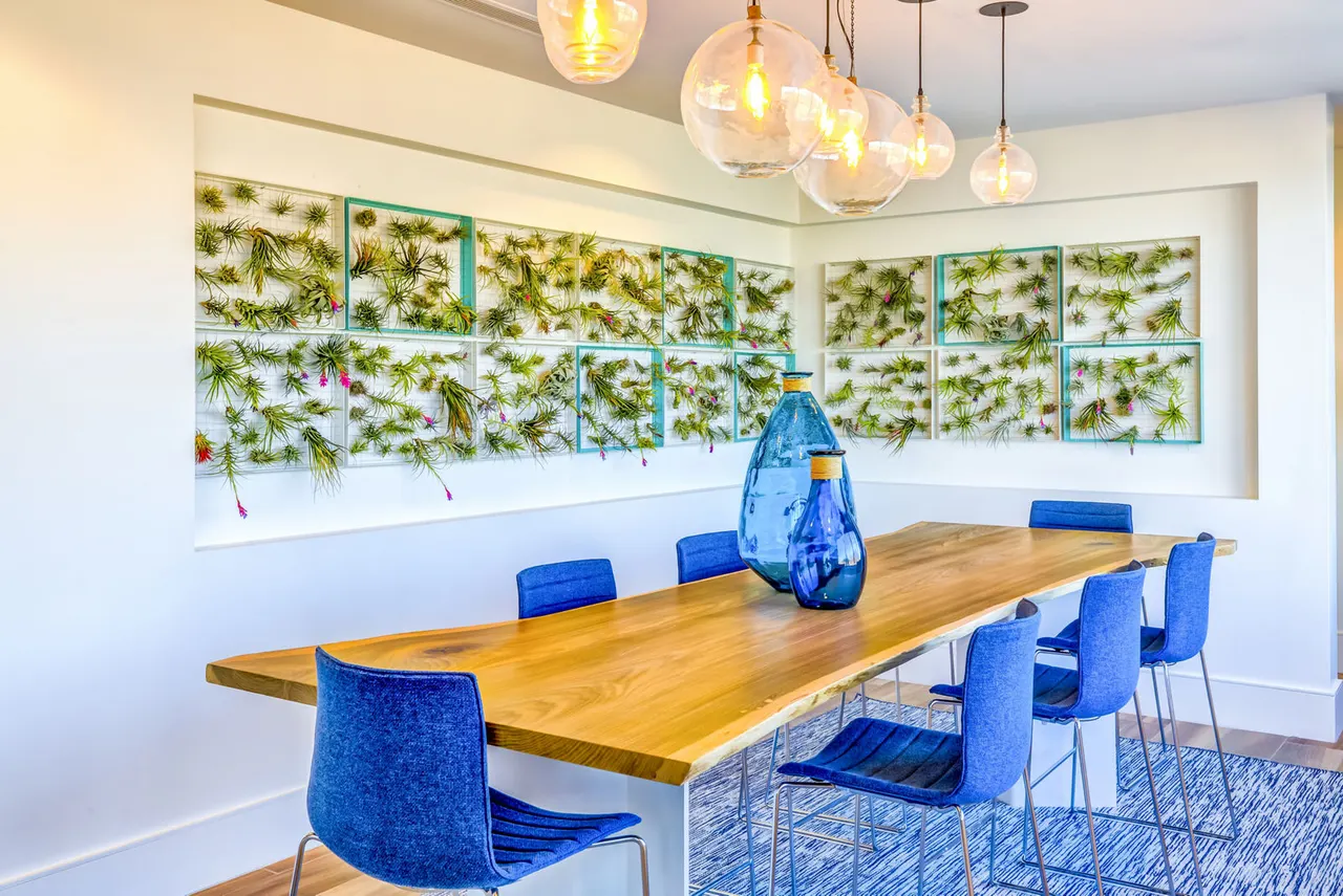 Ocean 650 Apartments