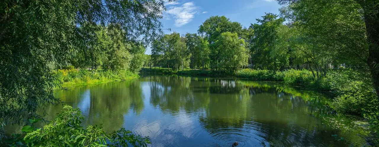 Lakeshore Preserve Apartments