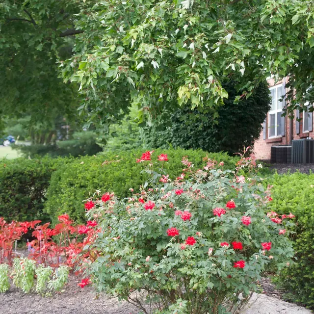 Normandy Green Apartments and Townhomes