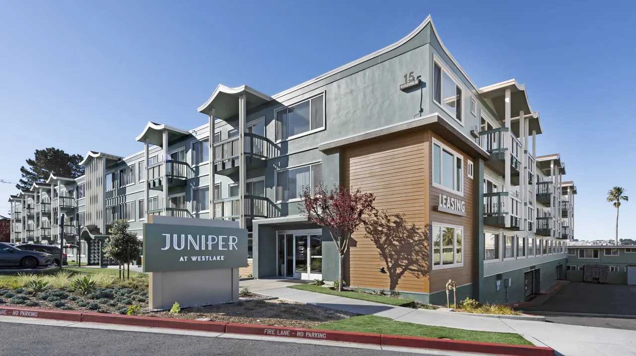Juniper