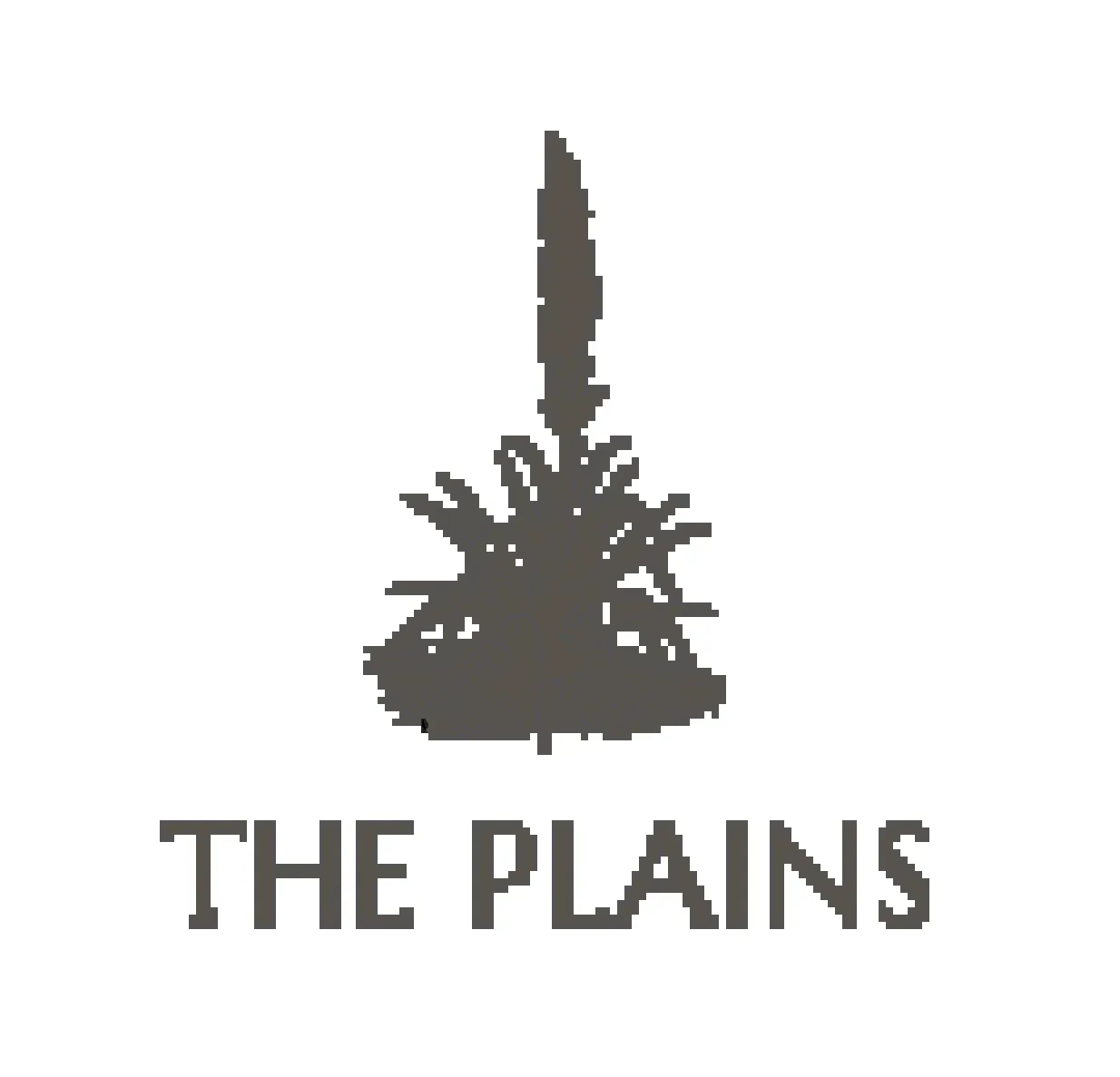 The Plains