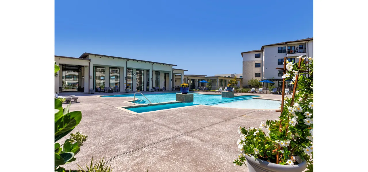 Ivy Point Cypress