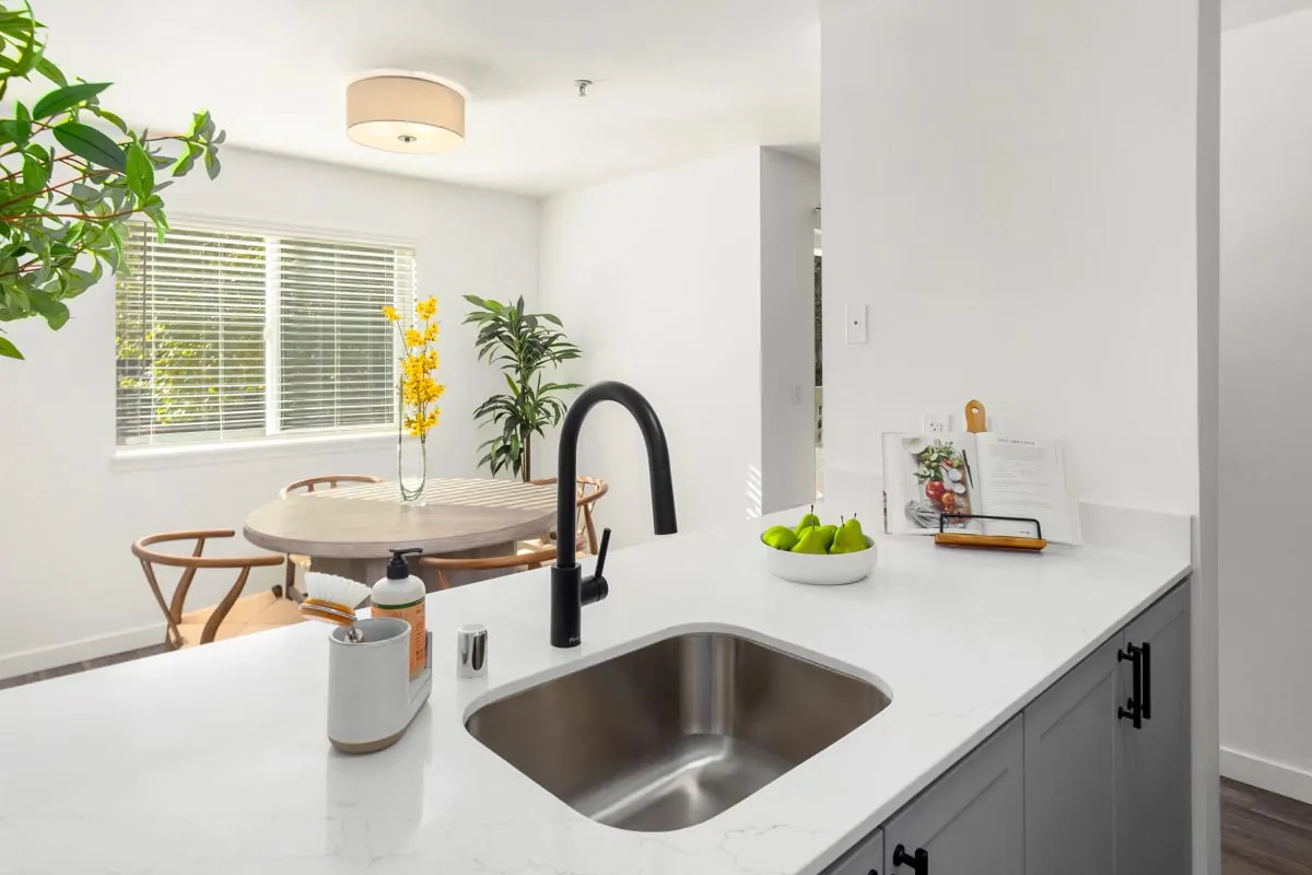Saddlebrook Apartments
