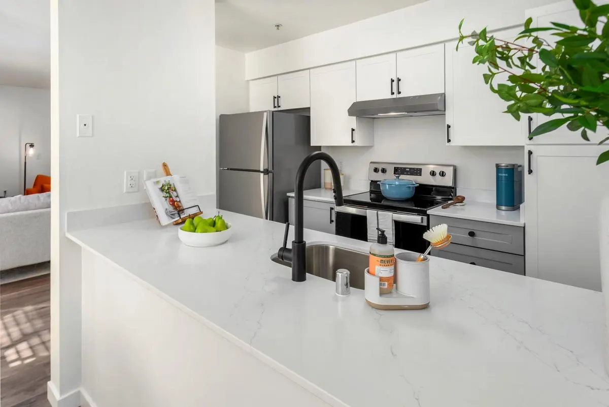 Saddlebrook Apartments