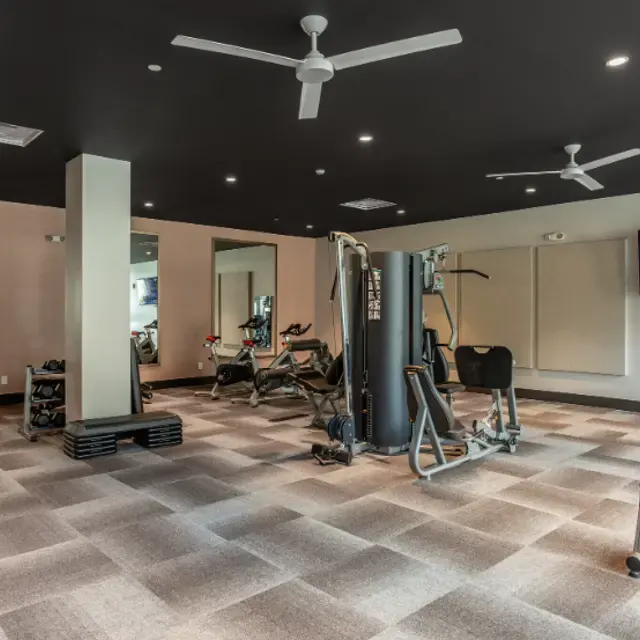 Triumph Apartments
