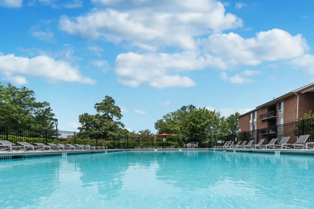 The Vista Apartments