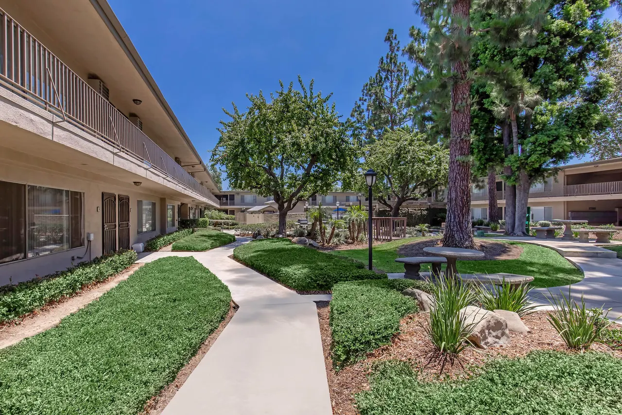 Saddleback Pines
