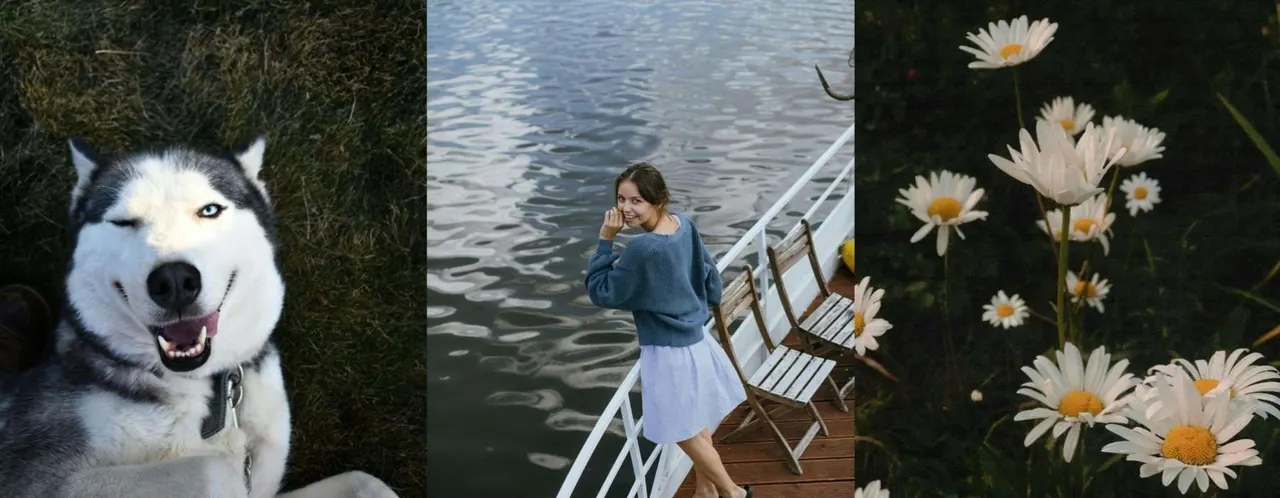 Flora