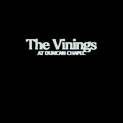 The Vinings at Duncan Chapel
