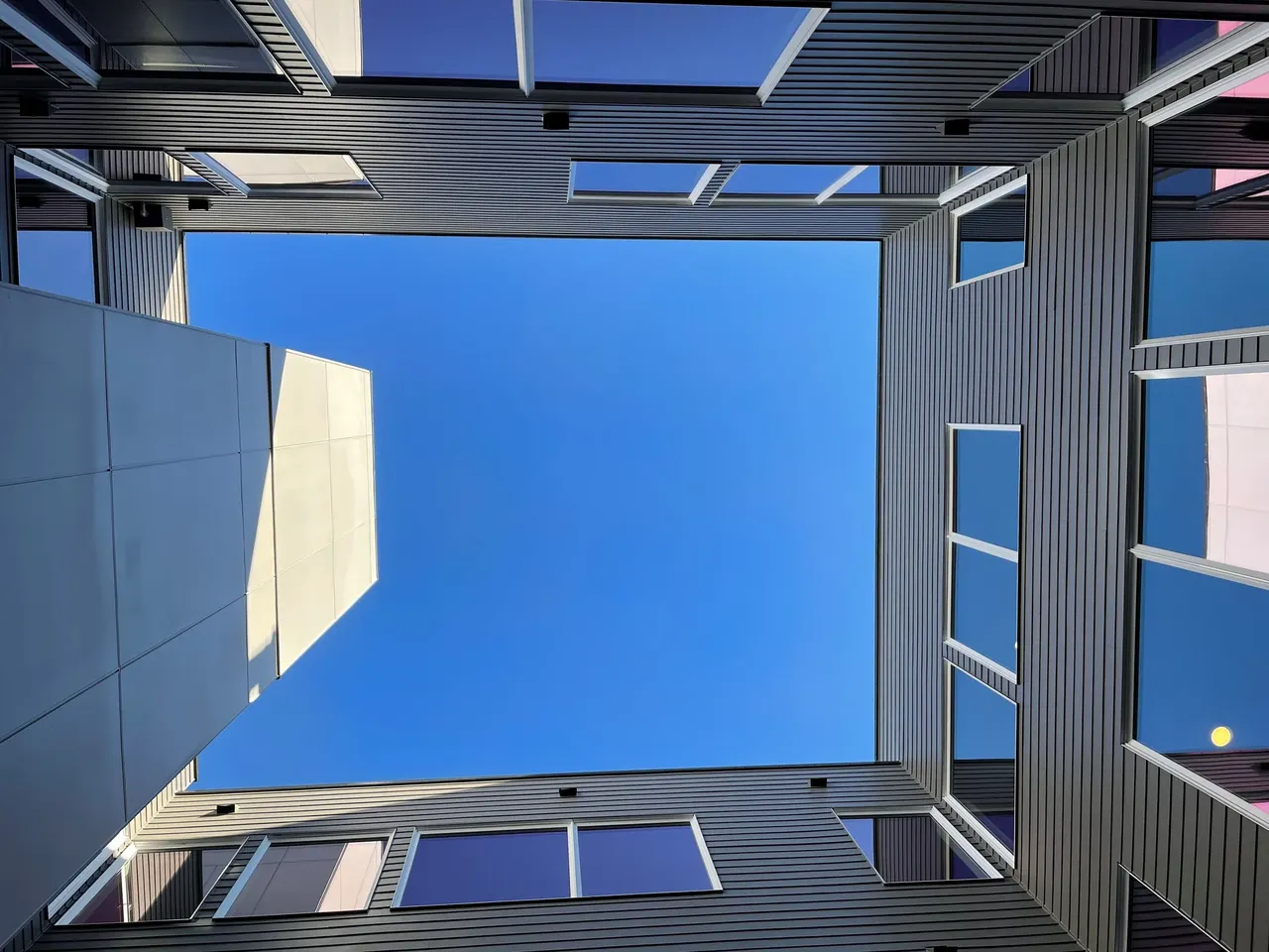 Canopy