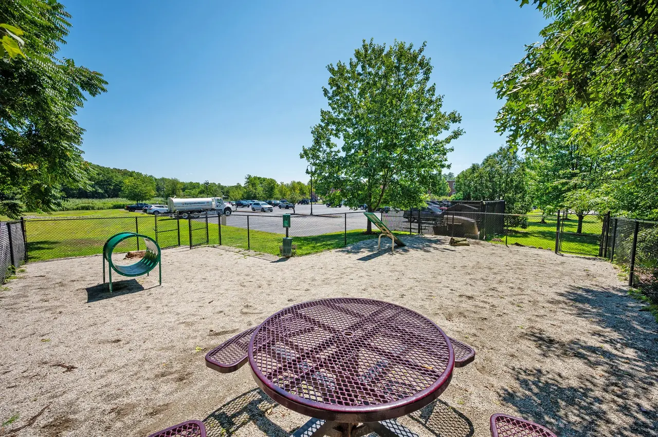 Cordis Mills