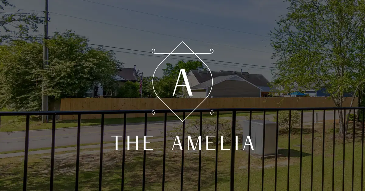 The Amelia