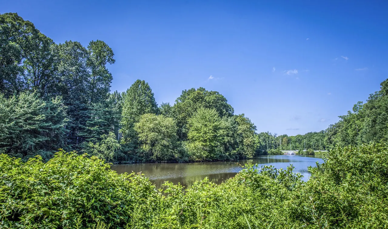 Windsor at Fairlakes