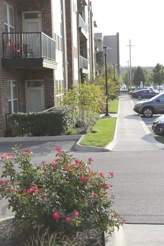 Apartments on Edgehill