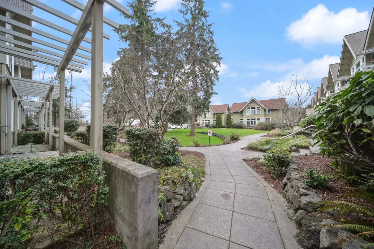 Camelia Apartments