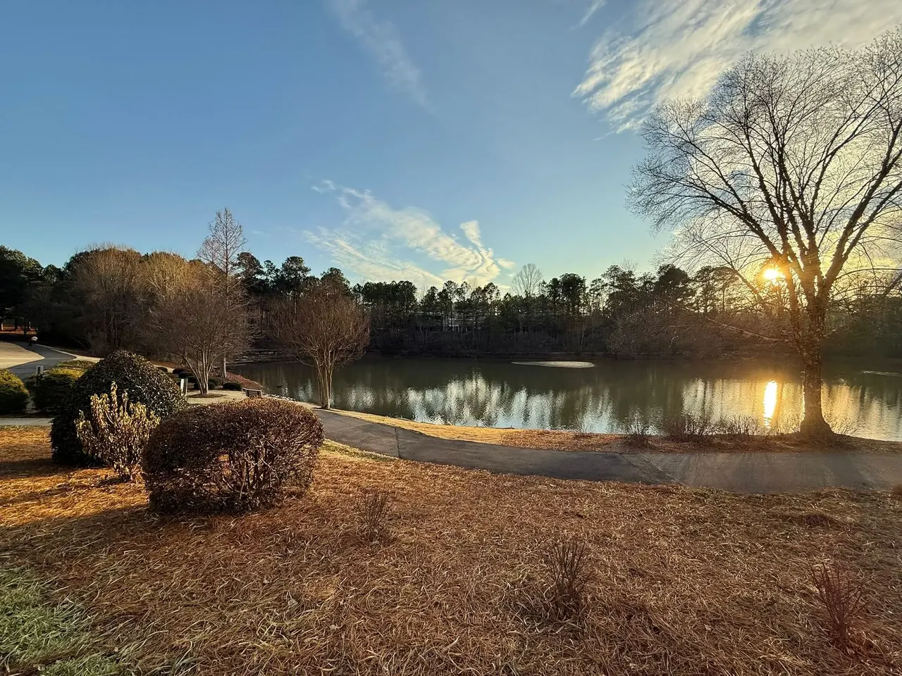 University Commons - NCSU