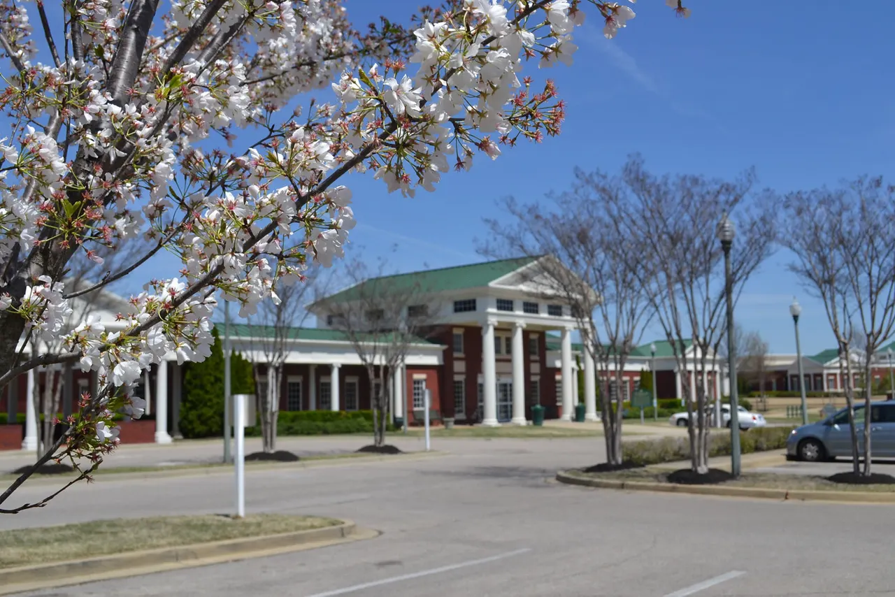 Carrington at Schilling Farms Apartments