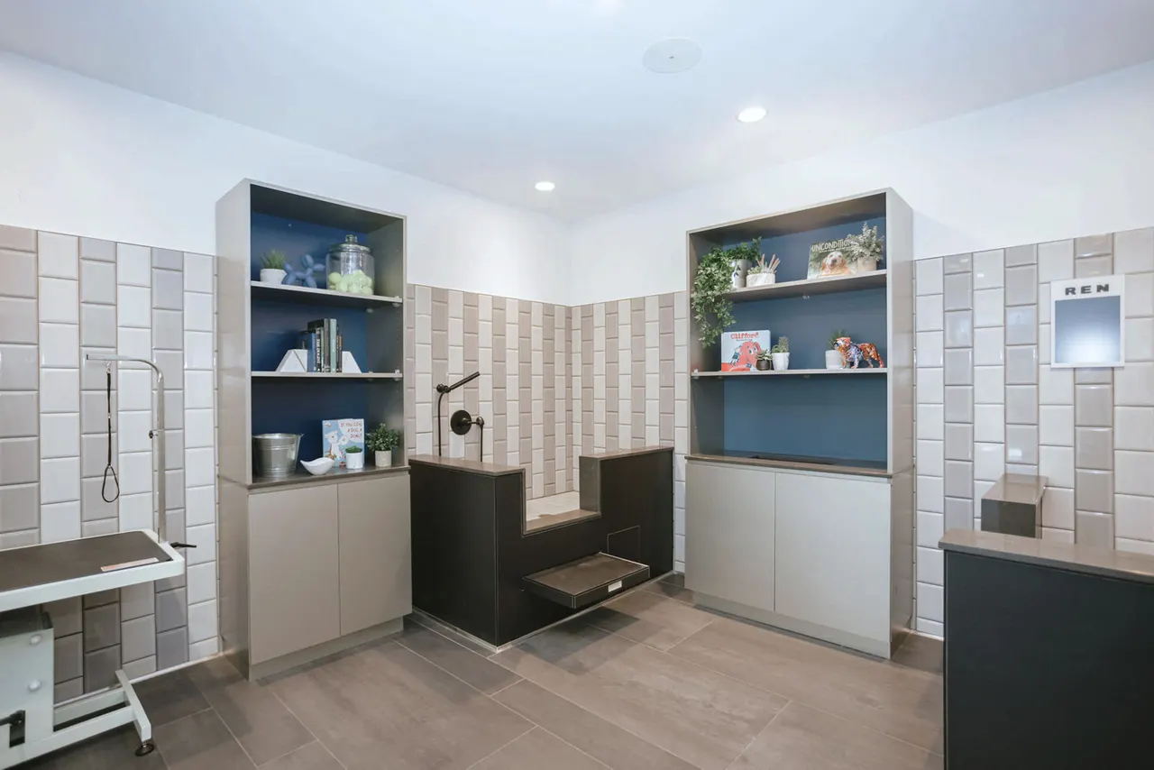 REN