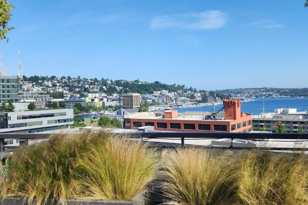 Mercer View Apartments