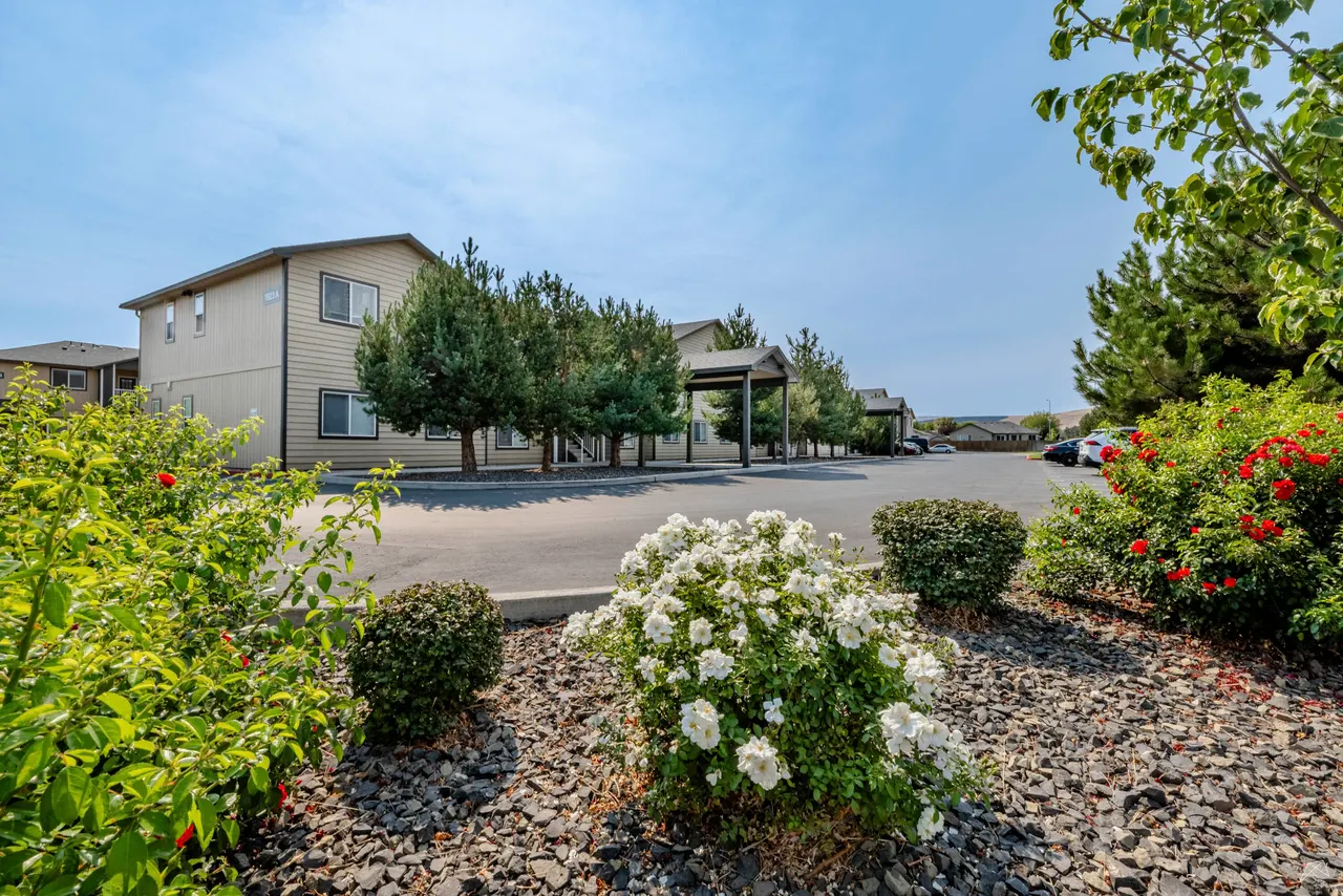 Pine Tree Park Apartments