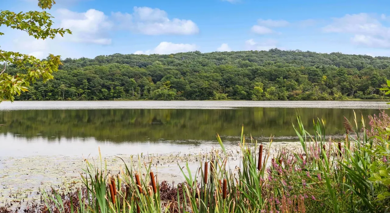 Lakeshore Preserve Apartments