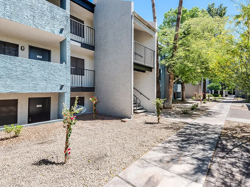 Portola East Mesa