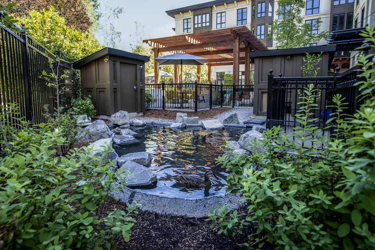 Mercato Grove Apartments