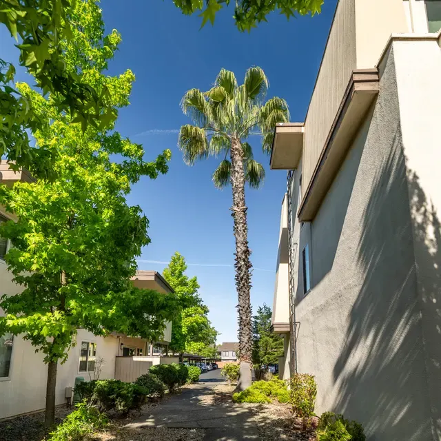 Marconi Gardens East