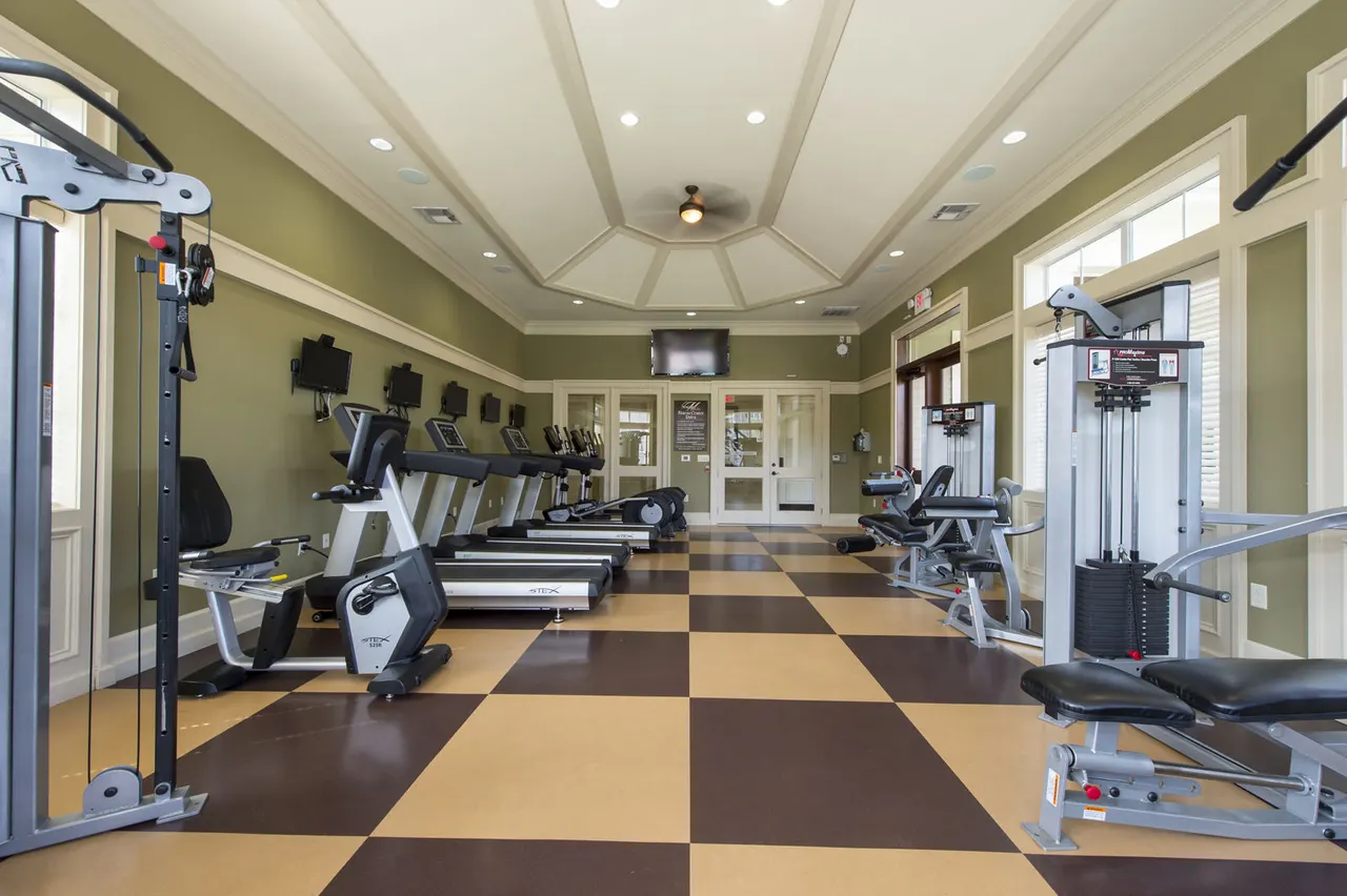 Montage at Cinco Ranch Apartments