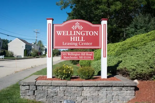 Wellington Hill