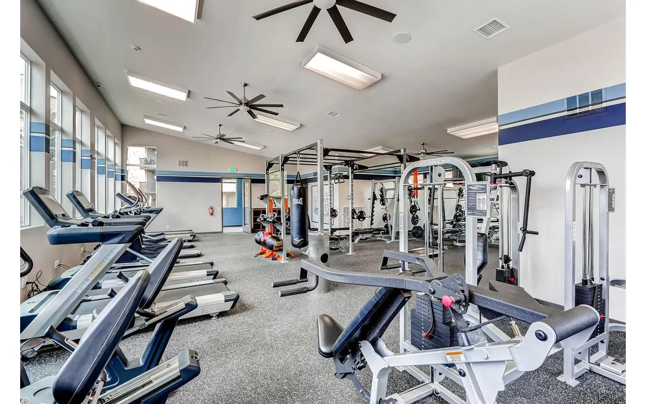 Lakeview Towers at Belmar Apartments