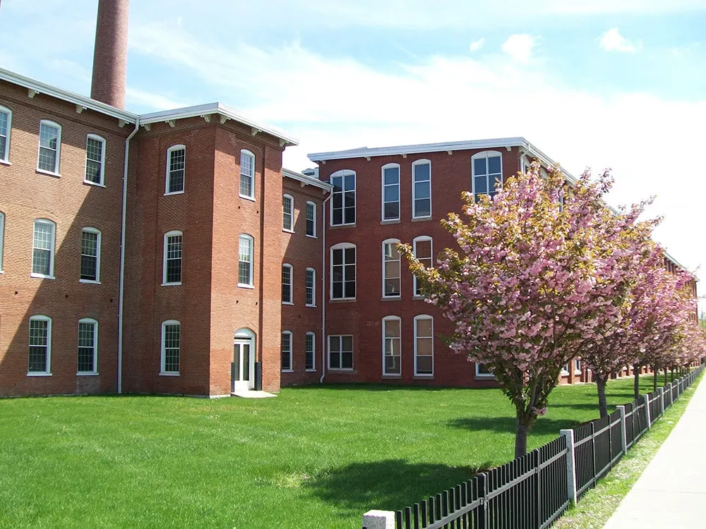 Cordis Mills