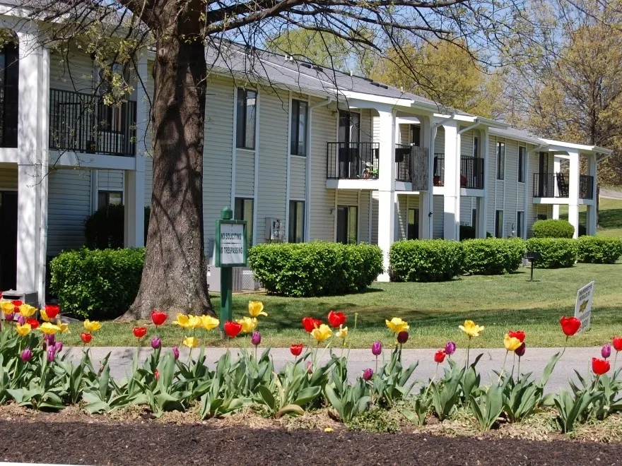 Starline Apartments