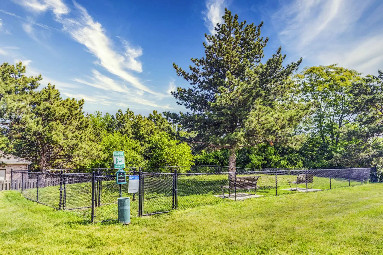Orion Elk Grove