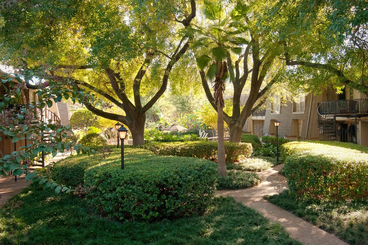 9900 Memorial Apartments