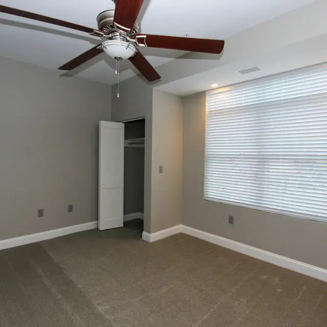 770 Elmwood Apartments