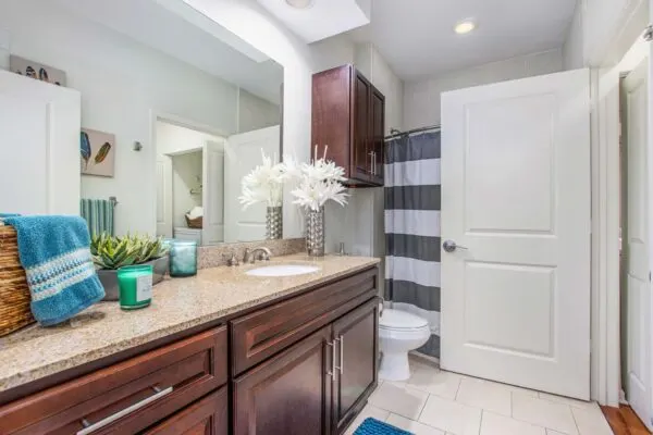 The Village at Mission Farms Apartments