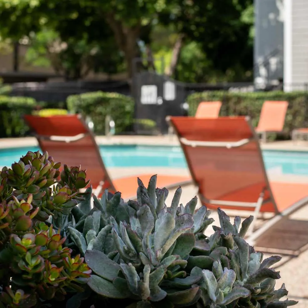 Riverstone Apartments