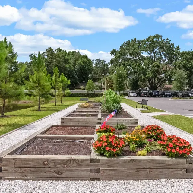 Burlington Cove Apartments