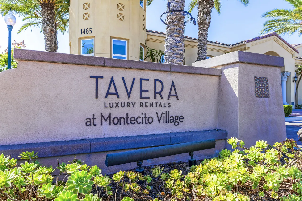 Tavera